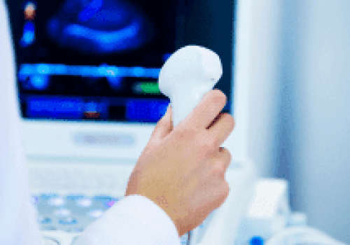 Seklidziu-echoskopija-300x150